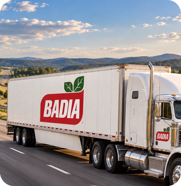 Badia history milestone 2004: Built for Growth