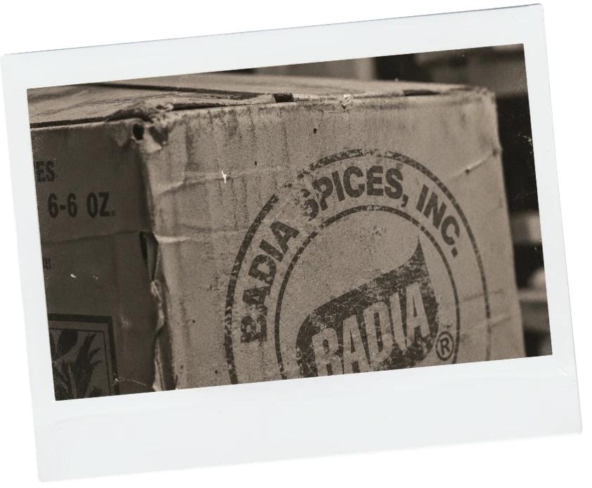 Badia-Story-1
