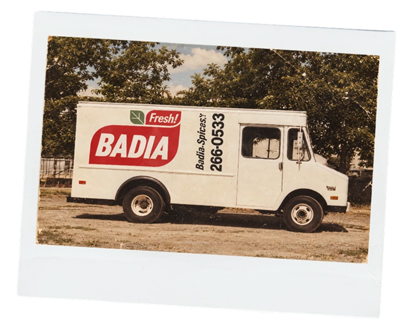 Badia Story 3