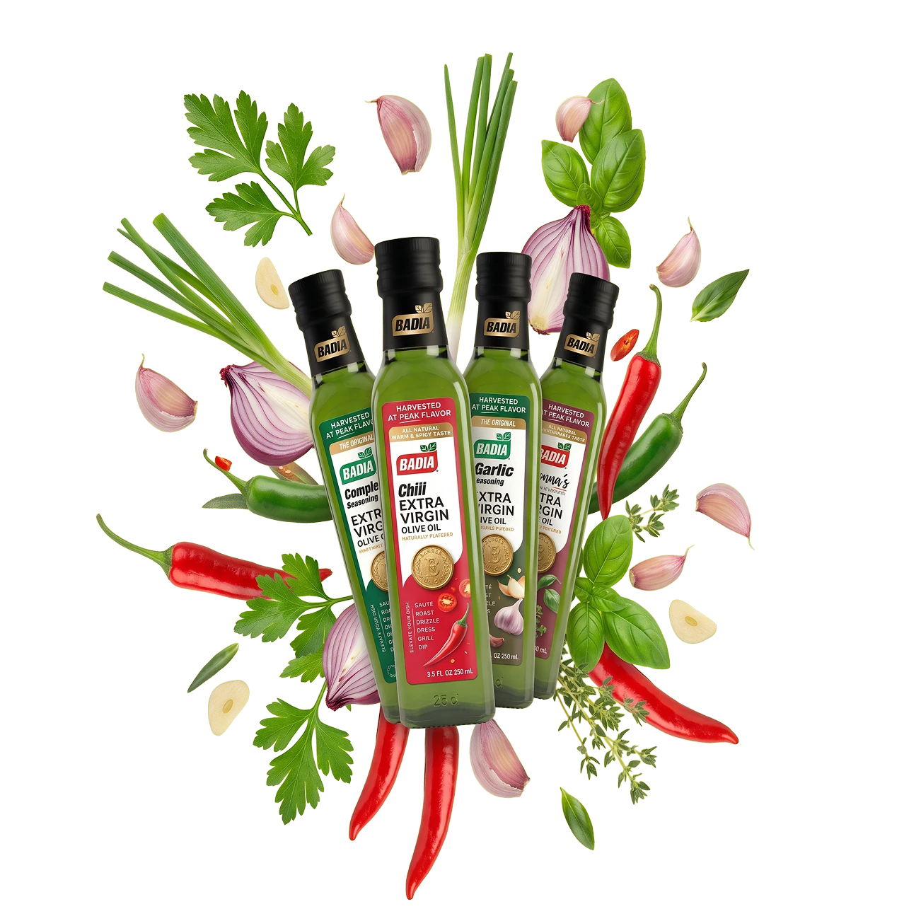 OLIVE OILS